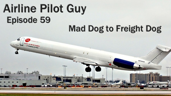 dog air freight