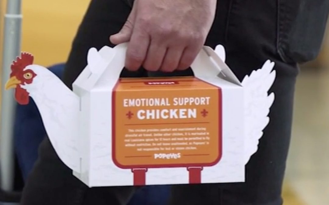 Popeyes Emotional Support [Fried] Chicken Box