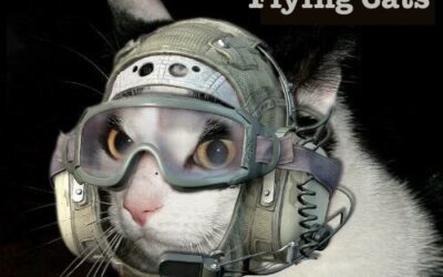 APG 049 – Flying Cats