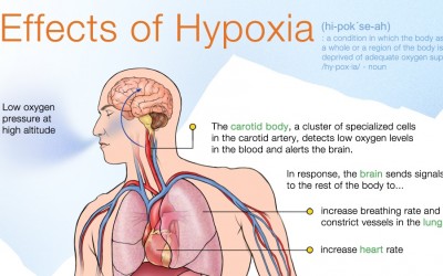 APG 134 – NTSB, Hypoxia, Turbulence