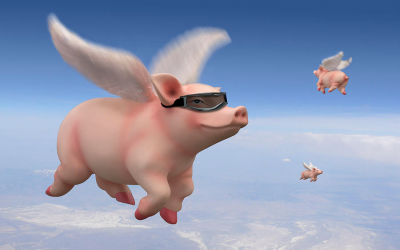 APG 146 – Pigs Fly?