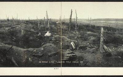 In Flanders Fields