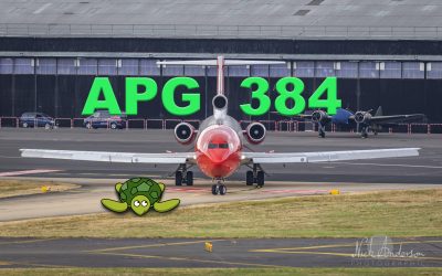 APG 384 – Turtle on the Tarmac