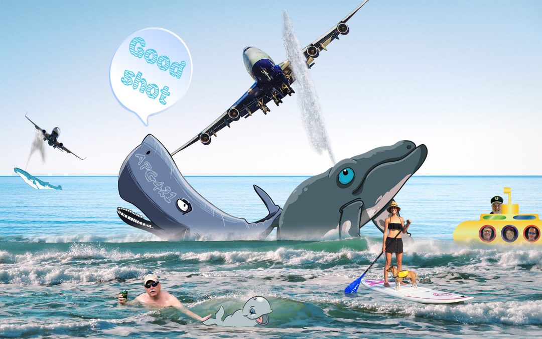 APG 421 – Caution: Whale Turbulence