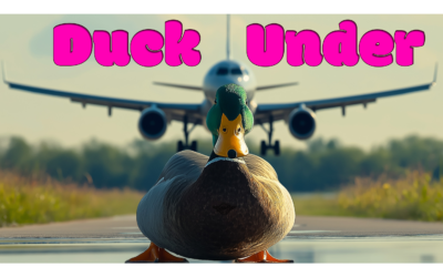 APG 658 – Duck Under