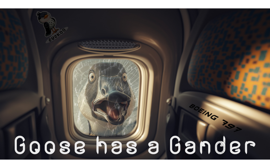 APG 700 – Goose has a Gander